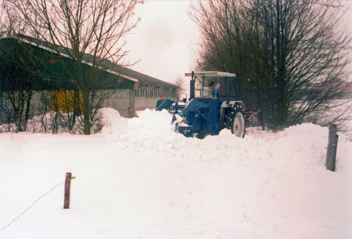 foto